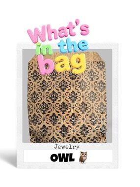 OWL JEWELRY !!💚